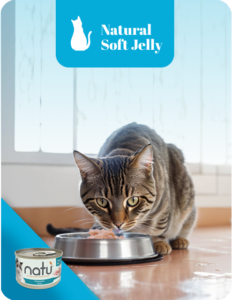 Natural Soft Jelly Gatto