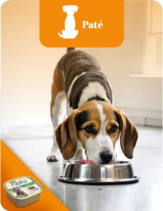 Patè