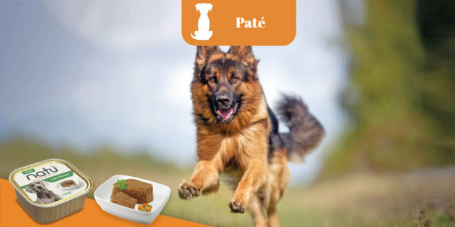 natu-pate-cane